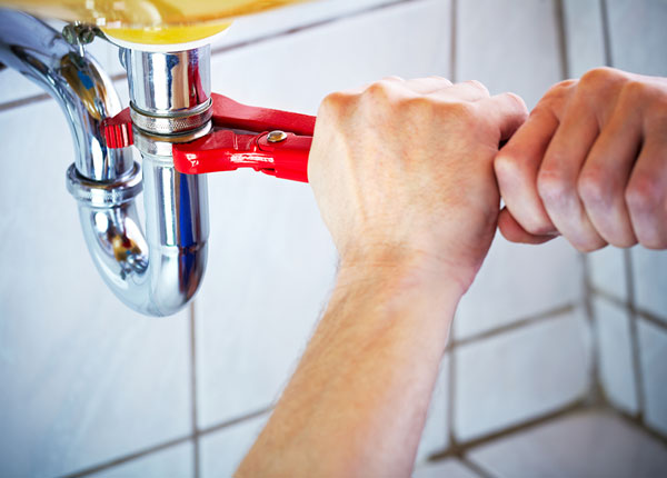 About Longwood Plumbers